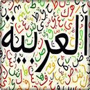 Kosakata Bahasa Arab Lengkap APK