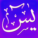 Surah Yaseen + Audio MP3 Offline APK