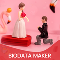 Perfect Marriage Biodata
