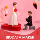 Perfect Marriage Biodata APK