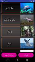 موسوعة الحيوانات poster