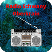 ikon Radio Schwany Oberkrain