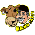Bang Sapi'i