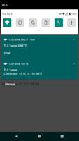 TLS Tunnel DNSTT Ekran Görüntüsü 1