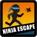 Ninja Escape