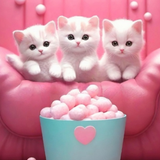 PinkyCat - Cat Wallpaper