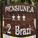 Pensiunea 2 Brazi Voineasa APK