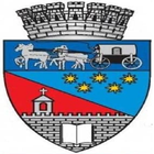 Raportul Primarului アイコン