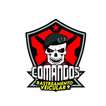 Comandos