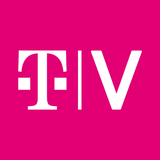 TVision 图标