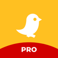 White Bird Pro