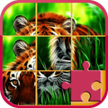 Jigsaw Puzzles 2019