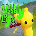 Wobbly Life Stick Guide