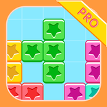 ”Block puzzle pro