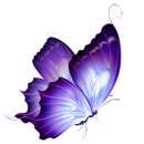 Flying High APK