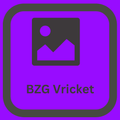 BZG Vricket