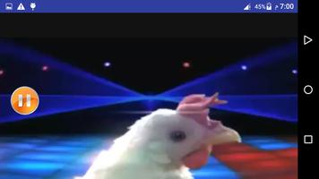 اغنية ورقص الدجاجة 2021 captura de pantalla 3