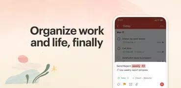 Todoist: to-do list & planner