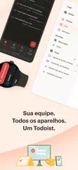 Baixar Todoist: To do list–Calendário XAPK