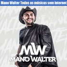 Mano Walter icono