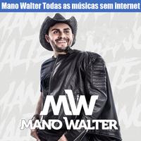 Mano Walter Cartaz