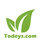 APK Todeys