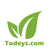 APK Todeys