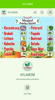 Poster AYLAMOM