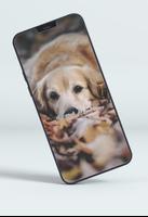 Fonds d'écran de chien capture d'écran 2