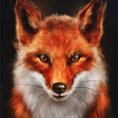 Fox Wallpapers APK
