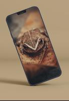 پوستر Frog Wallpapers