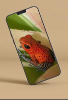 برنامه‌نما Frog Wallpapers عکس از صفحه