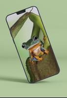 برنامه‌نما Frog Wallpapers عکس از صفحه