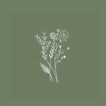 Sage Green Aesthetic Wallpaper