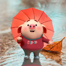 Cute Pig Wallpapers APK