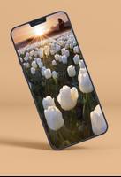 Tulips Wallpapers syot layar 3