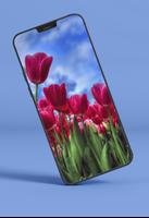 Tulips Wallpapers syot layar 2