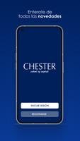 Chester School پوسٹر