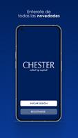 Chester School Affiche