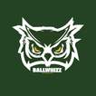 BallWhizz icon