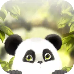 Panda Chub Wallpaper Kostenlos