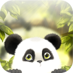 ”Panda Chub Live Wallpaper Free