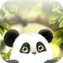 Panda Chub Live Wallpaper Free APK