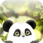 Panda Chub Live Wallpaper Free icon