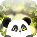 Panda Chub Live Wallpaper Grat-APK