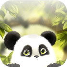 Panda Kleń na żywo Tapety ikona