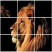 ”Animal Puzzles