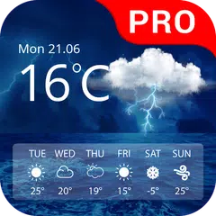 download Weather Pro APK