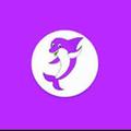 Dolphin vpn