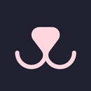 Weather for Dog Walking APK